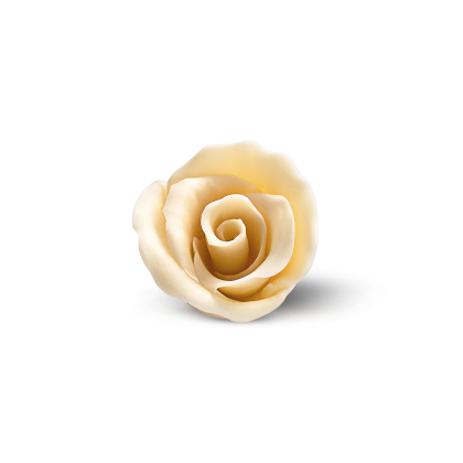 Decoração de rosa em açúcar ou pasta de açúcar cor creme sobre fundo branco
